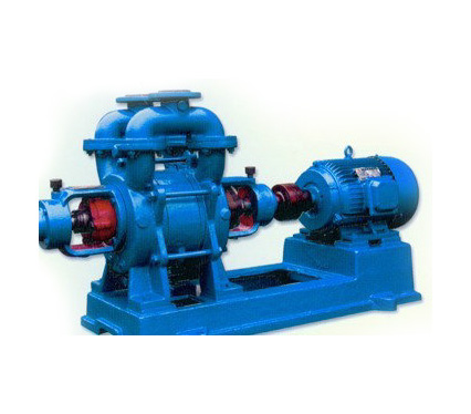 納西姆真空泵SK