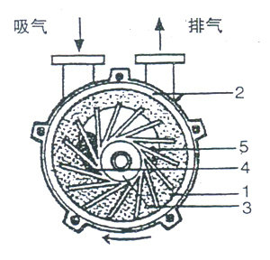 2BV型水環(huán)式真空泵的工作原理